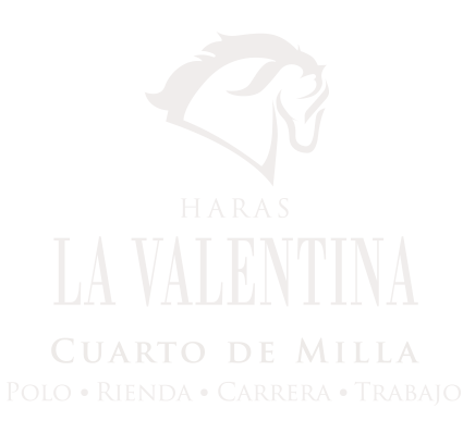 Logo Haras La Valentina